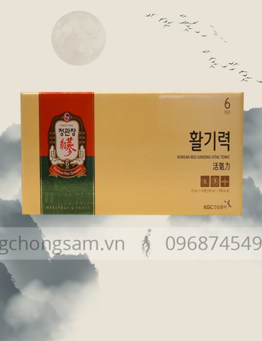 NƯỚC UỐNG BỔ DƯỠNG HỒNG SÂM KGC HWAL GI RUK ( 20ML X 10 CHAI)